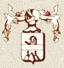 Linea Oro