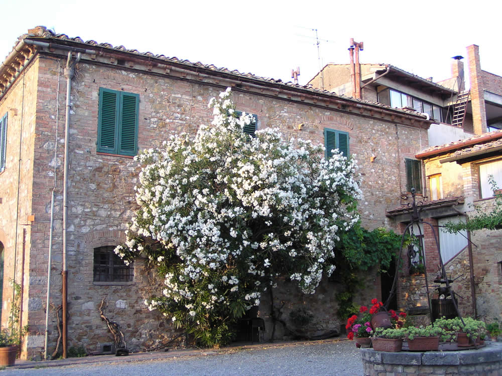 Podere Santa Croce